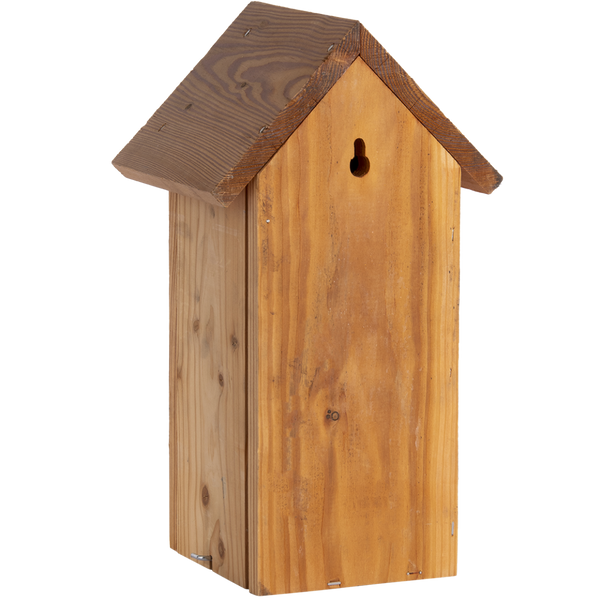 Nistkasten Kohlmeise Douglasie