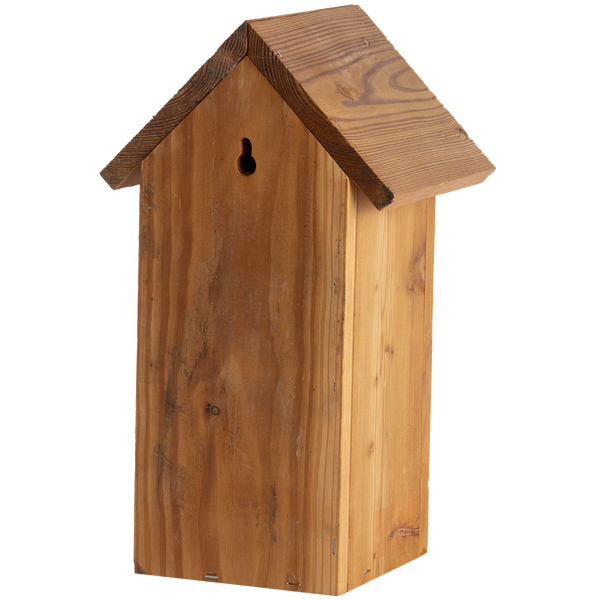 Nistkasten Kohlmeise Douglasie
