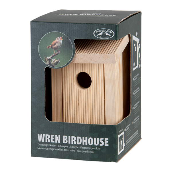 Zaunkönig Nistkasten