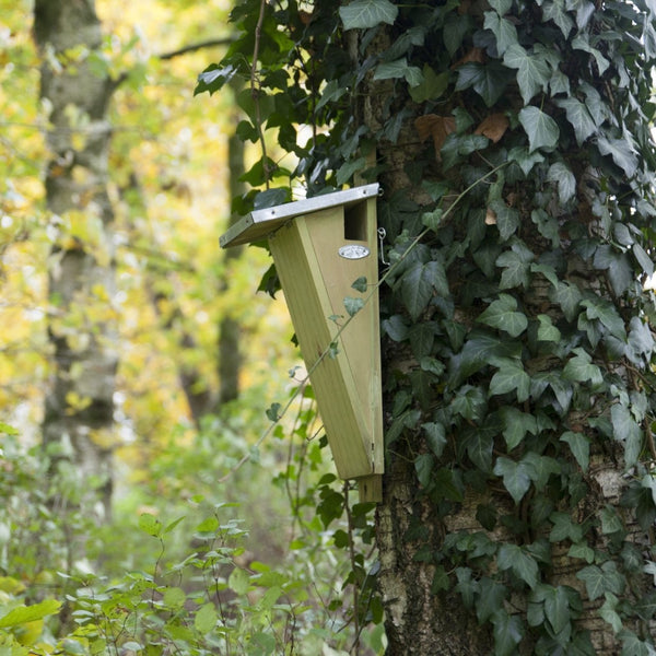 Baumläufer-Nistkasten FSC-Holz Seiteneingang | Esschert Design
