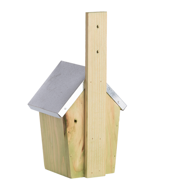 Nistkasten Zaunkönig