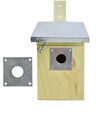 Schutzplatte Kohlmeisen Vogelhaus