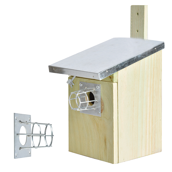 Eichhörnchen/Martenkorf