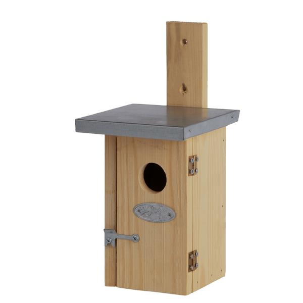 Zaunkönig Vogelhaus Holz