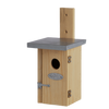 Zaunkönig Vogelhaus Holz