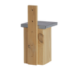 Zaunkönig Vogelhaus Holz