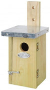 Zaunkönig Vogelhaus Holz