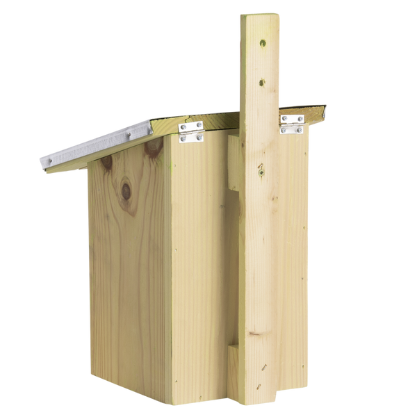 Spiegel Kohlmeisen Vogelhaus