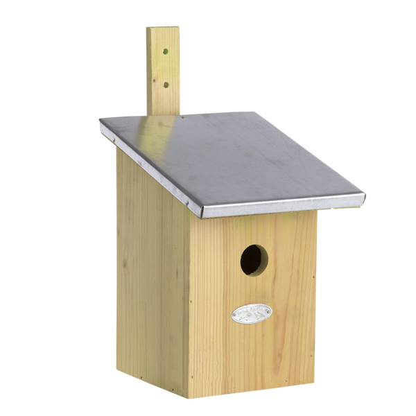 Spiegel Kohlmeisen Vogelhaus