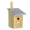 Spiegel Kohlmeisen Vogelhaus