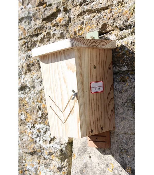 Fledermäuse Schrank