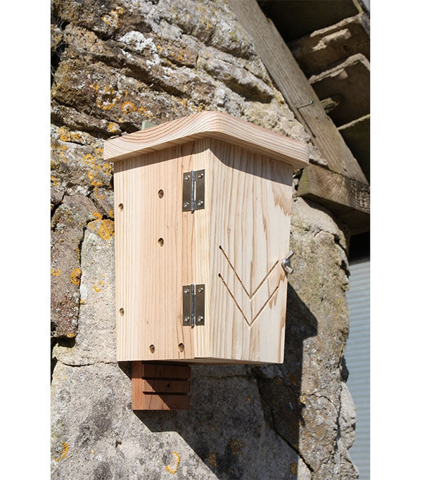 Fledermäuse Schrank