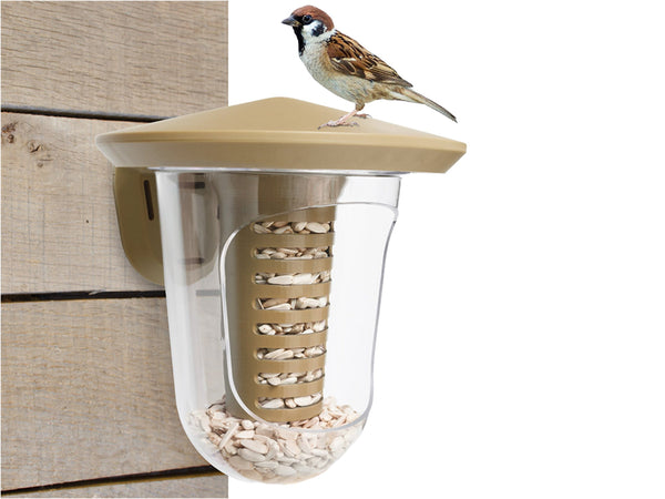 SingingFriend - Multi feedR transparent braun