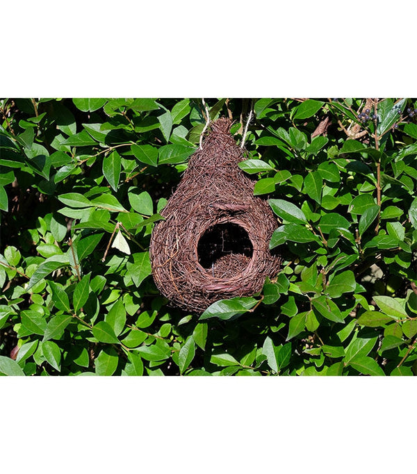 Vogelhaus Rotkehlchen