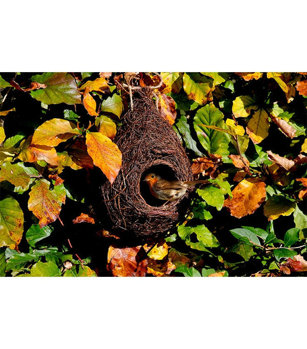 Vogelhaus Rotkehlchen