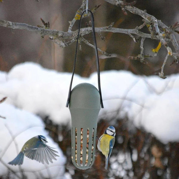 SingingFriend - Max grün