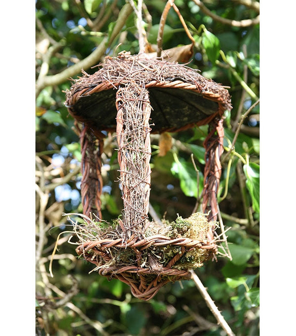 Öffnen Sie Nest Friend