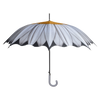Schirmblumen