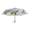 Faltbarer Regenschirm sortiert