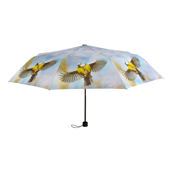 Faltbarer Regenschirm sortiert