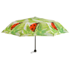 Faltbarer Regenschirm sortiert