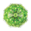 Regenschirm Baumkrone
