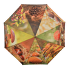Regenschirm Herbstdruck