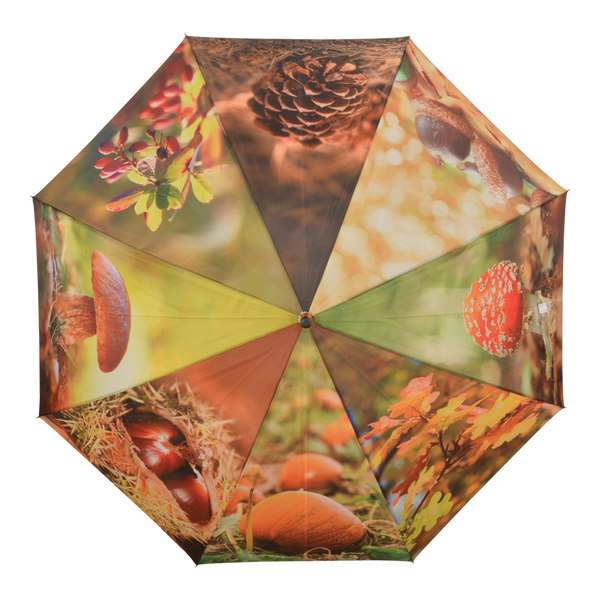 Regenschirm Herbstdruck