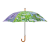 Schirmblumen