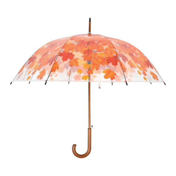 Regenschirm Baumkrone Herbst