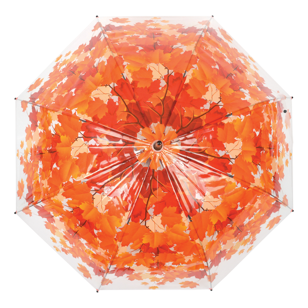 Regenschirm Baumkrone Herbst