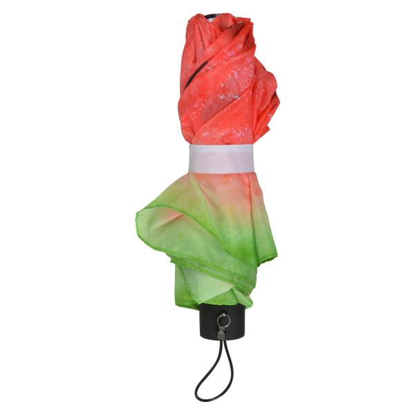 Faltbarer Regenschirm Obst sortiert