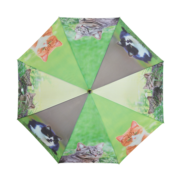 Regenschirm Katzen