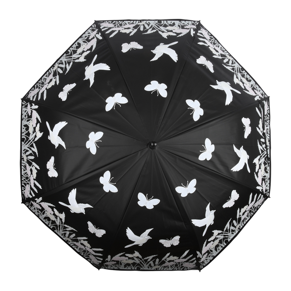 Regenschirmvogel mit Farbwechsel