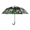 Regenschirmvogel mit Farbwechsel