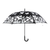 Regenschirmvogel mit Farbwechsel