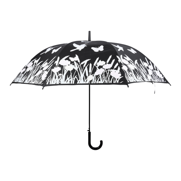 Regenschirmvogel mit Farbwechsel