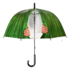 Regenschirm peekaboo ass.