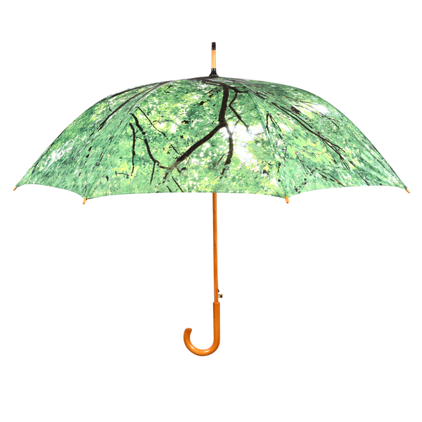 Regenschirm Baumkrone