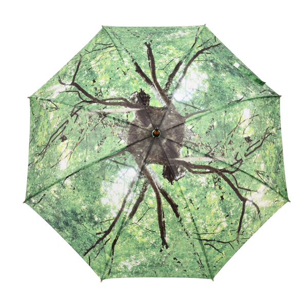 Regenschirm Baumkrone