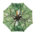 Regenschirm Baumkrone