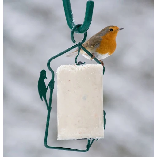 Erdnusskuchen-Aufhänger Hongkong