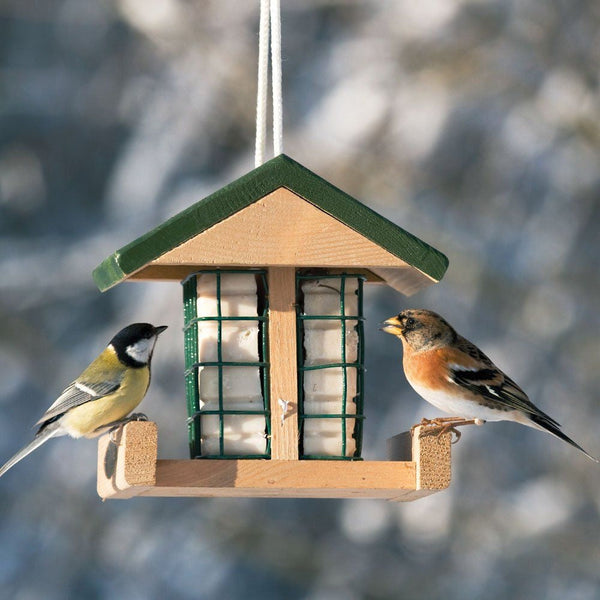 Vogelschutz Fettblockhalter Pasadena