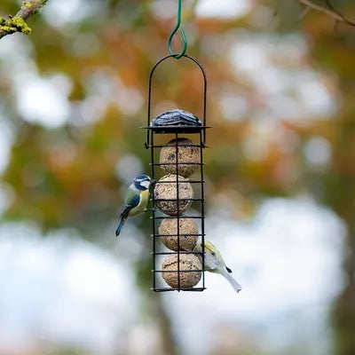 Fatball Einheit Bremen schwarz