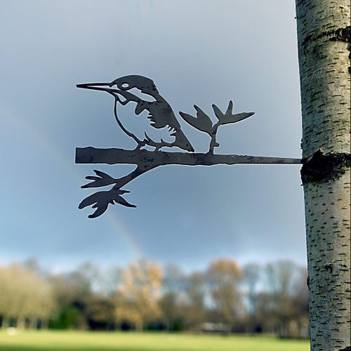 Birdwise - Eisvogel mit Blättern