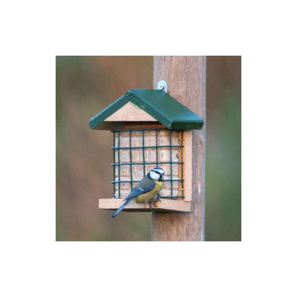 Vogelschutz Vet Block Halter Ohio