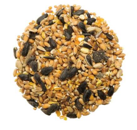 Vogelschutz - Premium HI-ENERGY MIX
