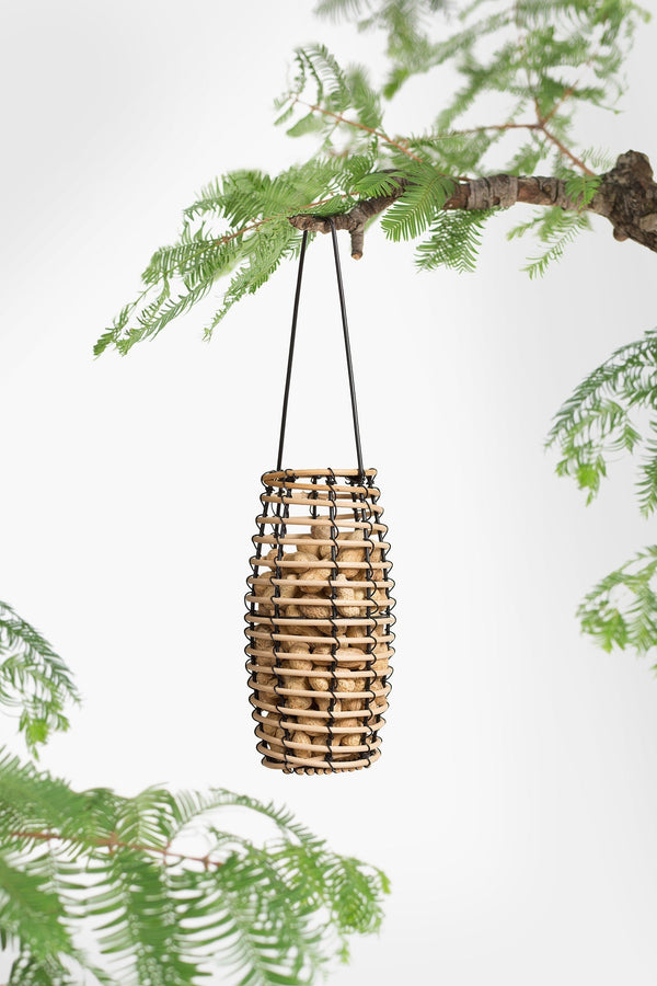 SingingFriend - Faya