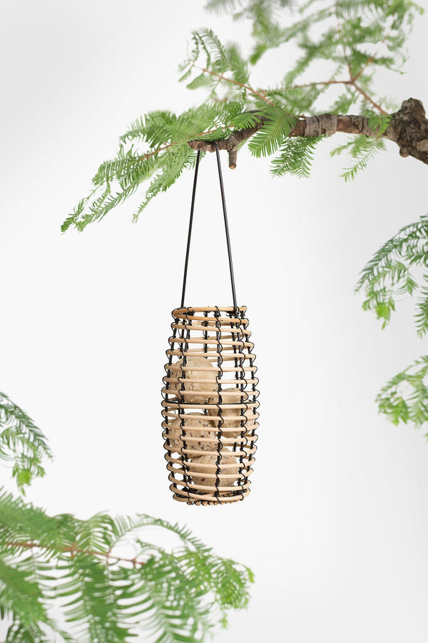 SingingFriend - Faya