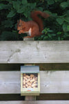Futterstelle für Eichhörnchen